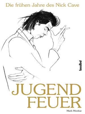 cover image of Jugendfeuer